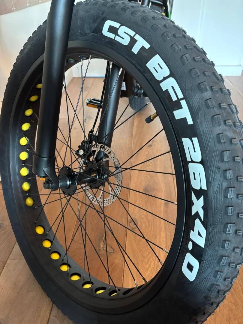 Ridgex 26 x 4 inch e-mtb 3