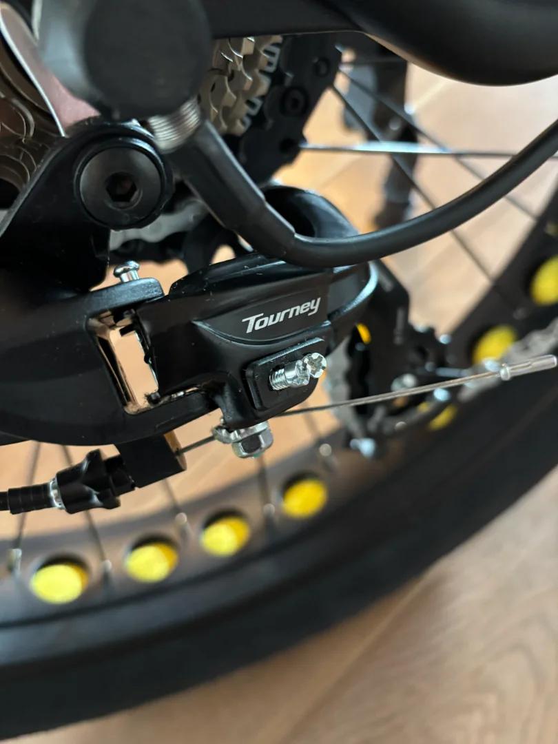 Ridgex 26 x 4 inch e-mtb 6