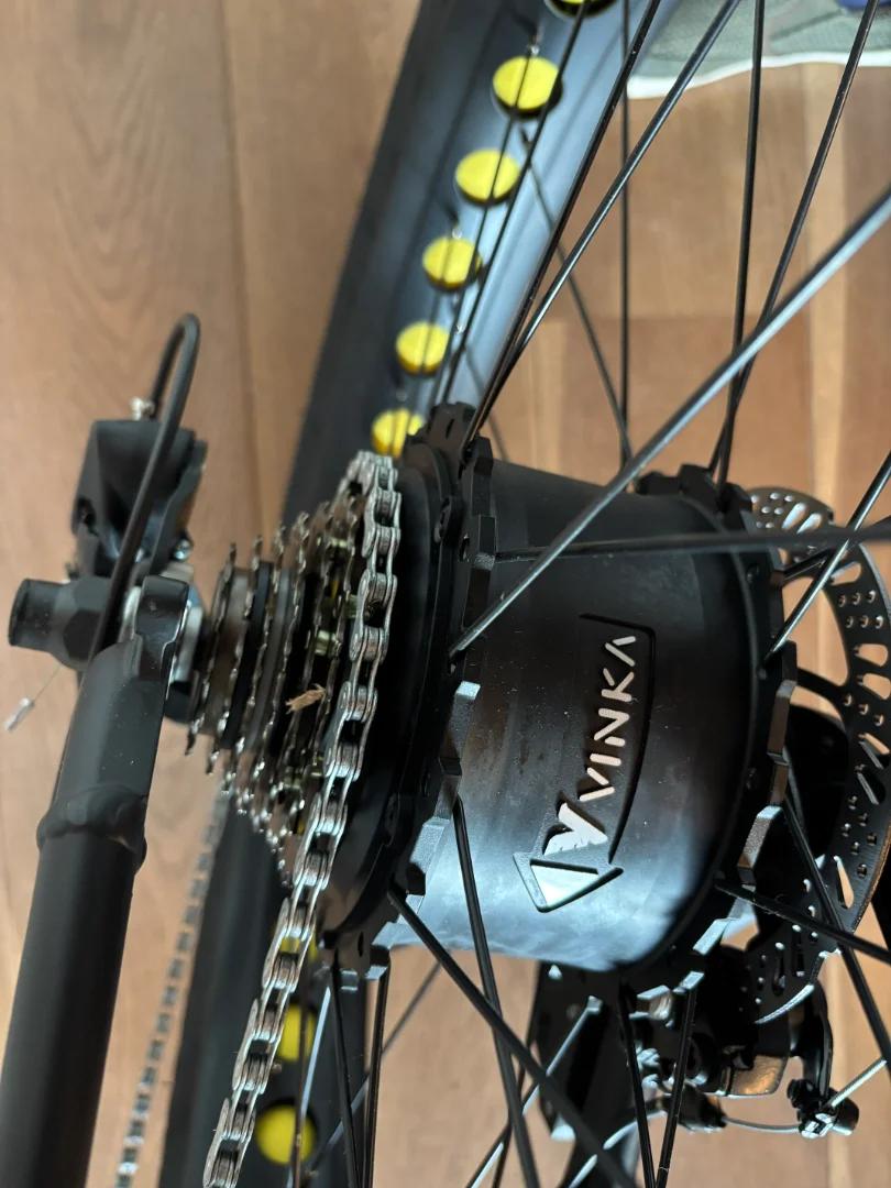 Ridgex 26 x 4 inch e-mtb 2