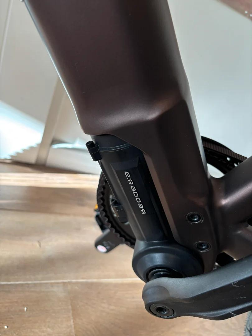 e:Raddar pearl coffee 4