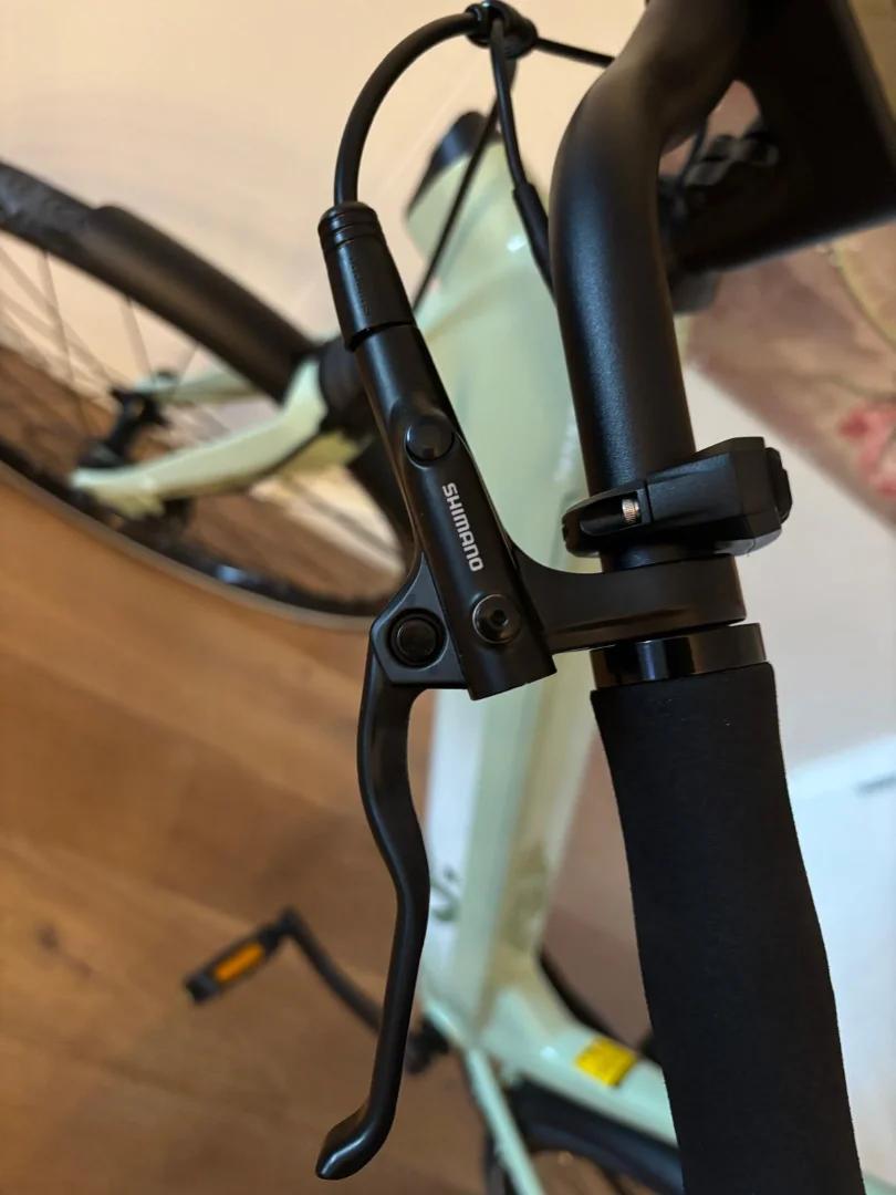 E-bike Lamassu dames met riemaandrijving (groen) 8