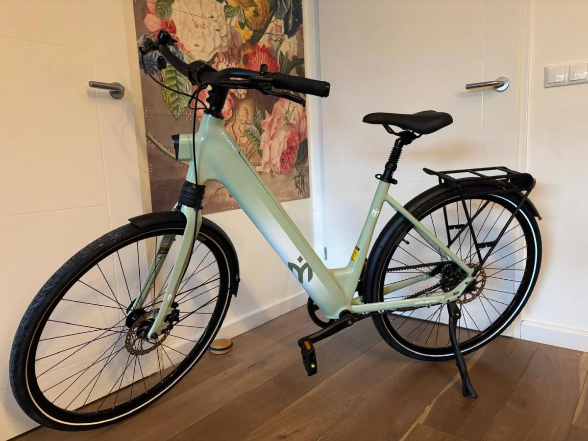 E-bike Lamassu dames met riemaandrijving (groen)