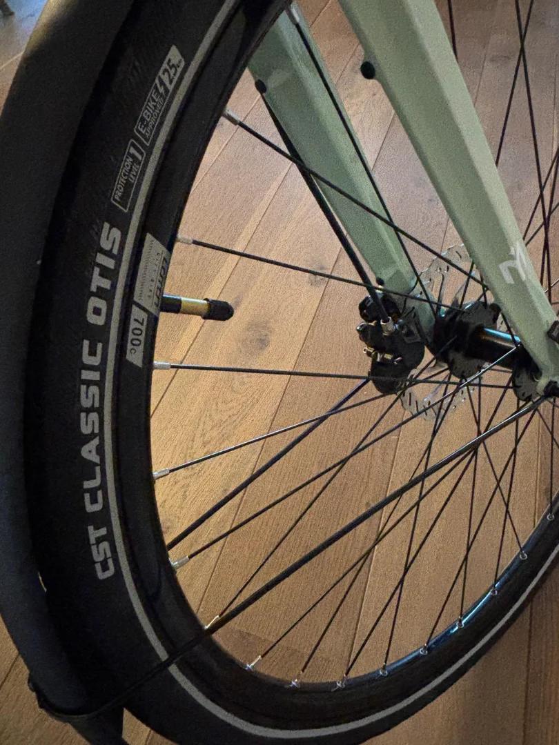 E-bike Lamassu dames met riemaandrijving (groen) 9