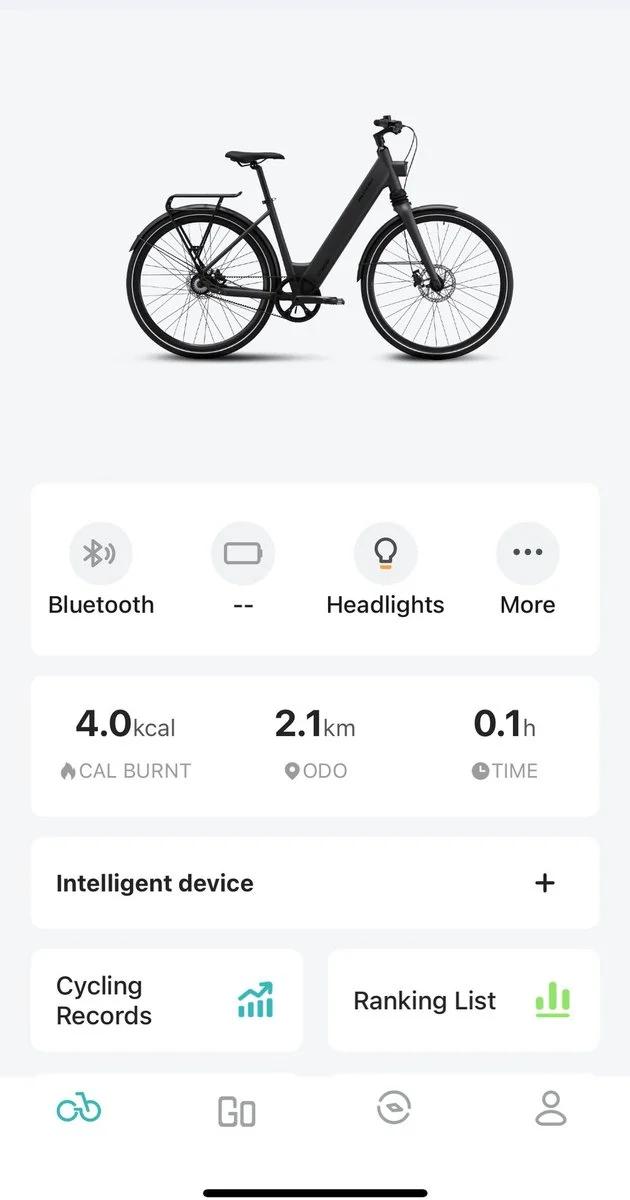 E-bike met riemaandrijving (kopie) 9